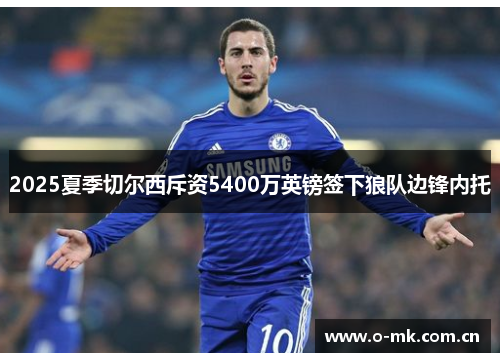 2025夏季切尔西斥资5400万英镑签下狼队边锋内托 2025夏季切尔西斥资5400万英镑签下狼队边锋内托