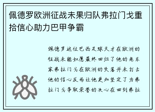 佩德罗欧洲征战未果归队弗拉门戈重拾信心助力巴甲争霸 佩德罗欧洲征战未果归队弗拉门戈重拾信心助力巴甲争霸